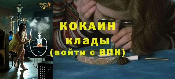 прущие грибы Вязники