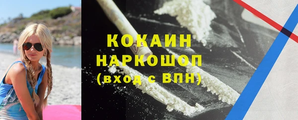 прущие грибы Вязники