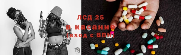 прущие грибы Вязники