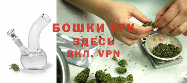 прущие грибы Вязники