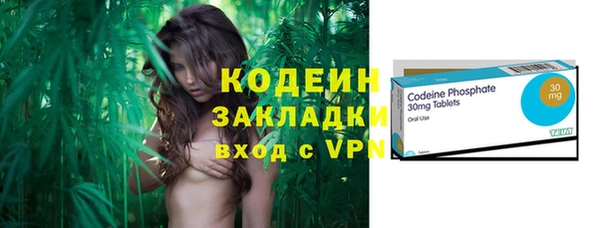 хмурый Вяземский