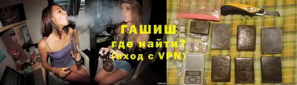 прущие грибы Вязники