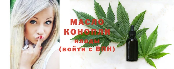 хмурый Вяземский