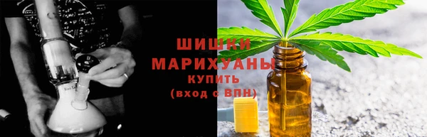 прущие грибы Вязники