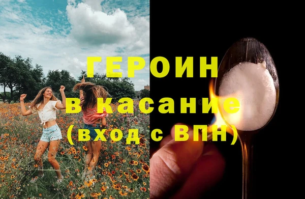 прущие грибы Вязники