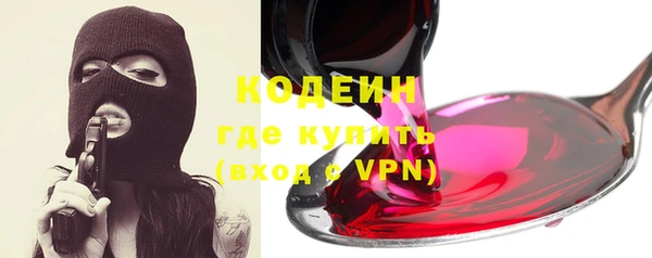 прущие грибы Вязники