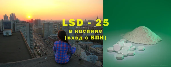 хмурый Вяземский