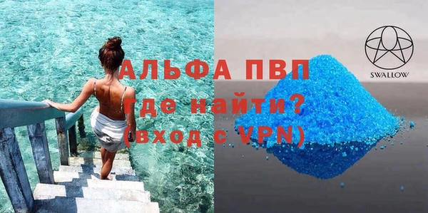 прущие грибы Вязники