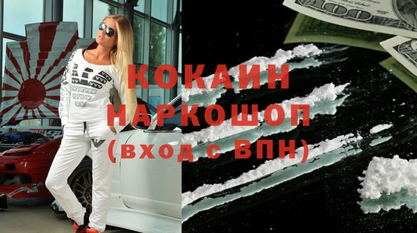 прущие грибы Вязники