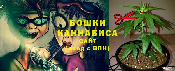хмурый Вяземский