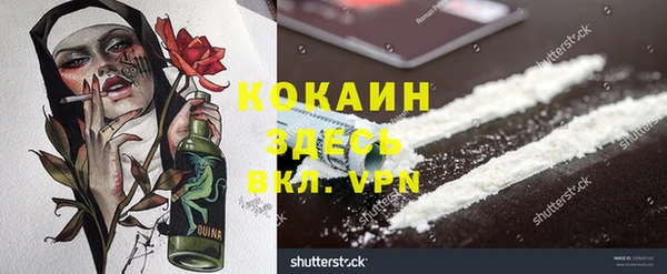 хмурый Вяземский