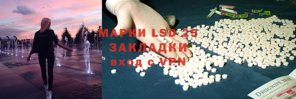 прущие грибы Вязники