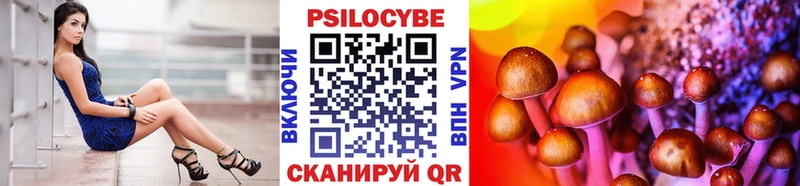 Псилоцибиновые грибы мицелий Купить Темрюк